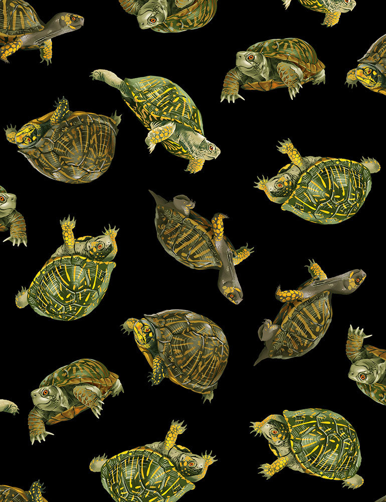 Timeless Treasures: - You Are Mer-Mazing - Realistic Box Turtles - C1175