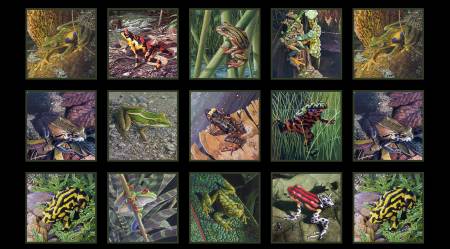 Elizabeth Studio: Amazing Frogs Panel - 16000E-Blk