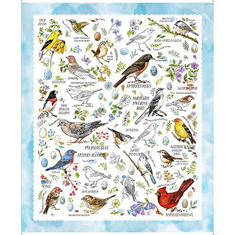 Quilting Treasures: Drawn to Birds - Bird Panel - Panel - 31133-B
