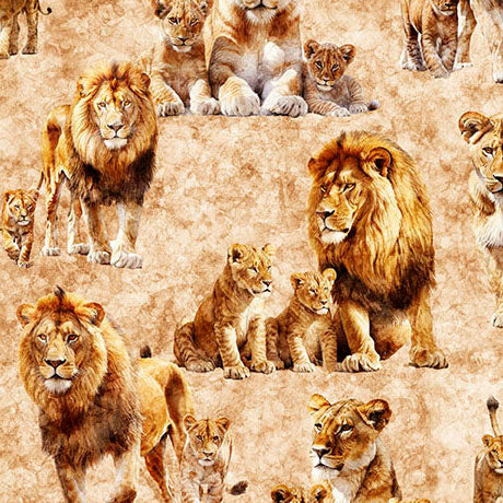 Quilting Treasures: Roar of the Pride - Lion Family Allover - Tan - 31215-A