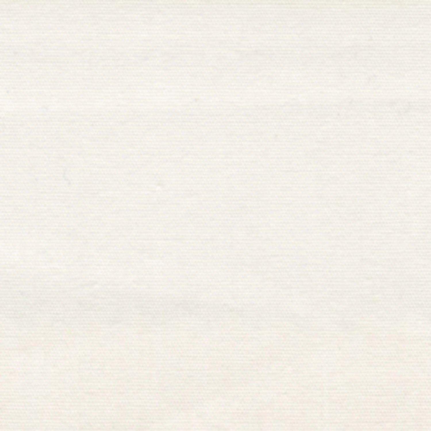 Roc-Lon: Muslin - Bleached - 45 Inches Wide - 404C