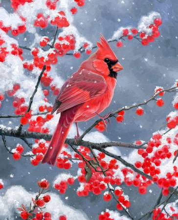 David Textiles: Cardinal Panel - ML32812