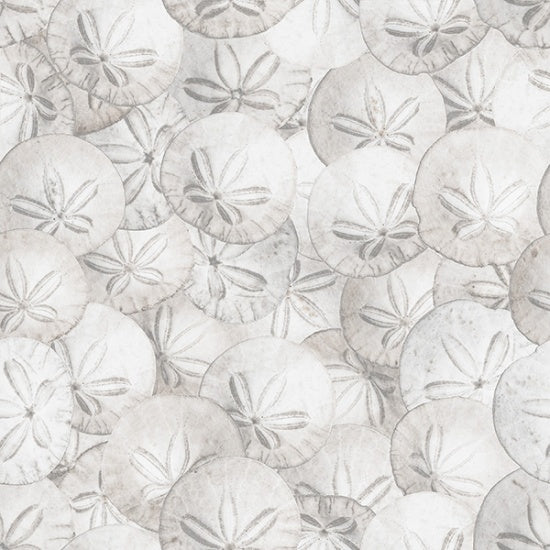 Hoffman: Natures Narratives - Sand Dollar - R4665-501 - Coastal Calm