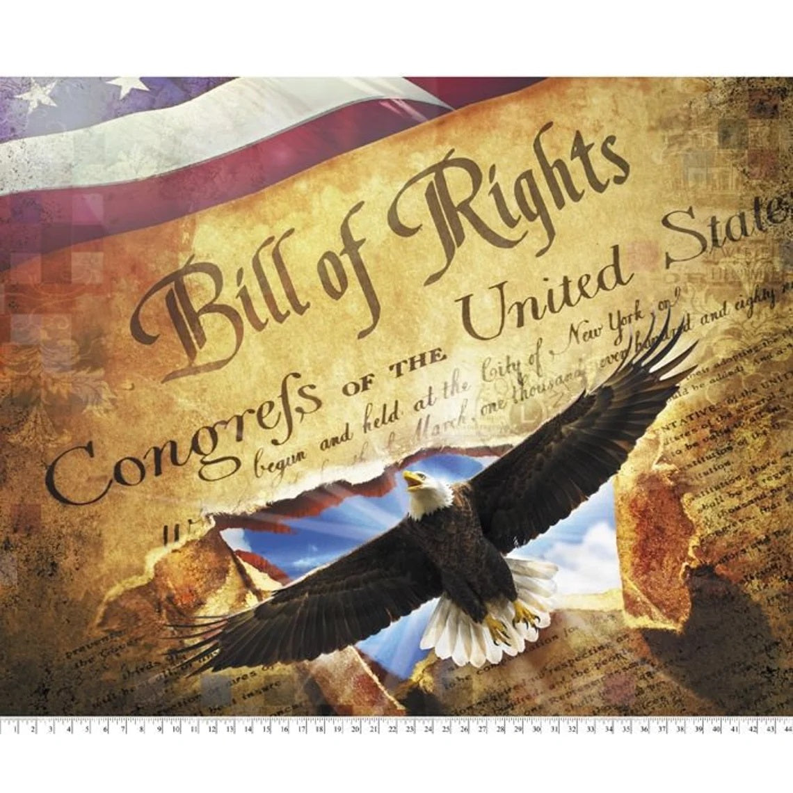 David Textiles: Land of Liberty - Bill of Rights - Panel - AL3914-OC1