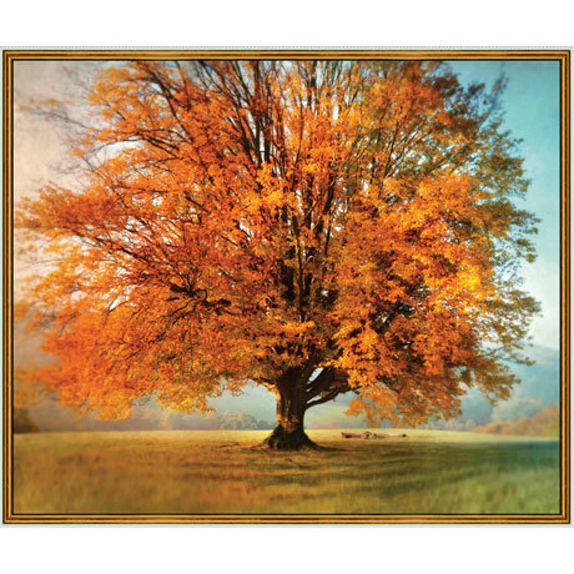 Fall