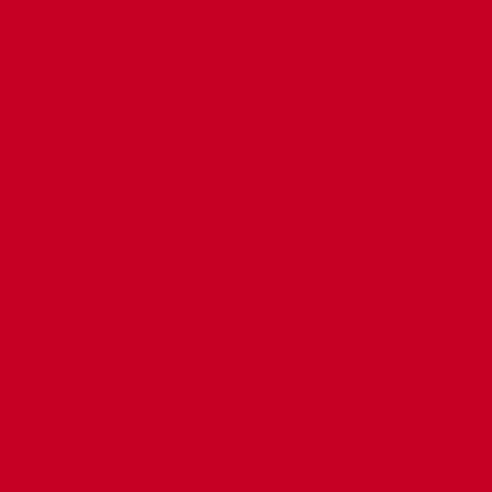 Batiks - Anthology: Lava - True Red - 100Q-2025