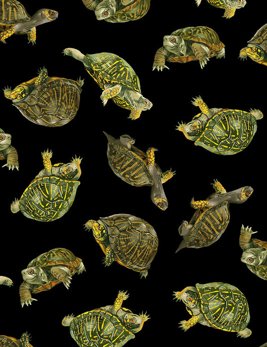 Timeless Treasures:  - You Are Mer-Mazing - Realistic Box Turtles - C1175