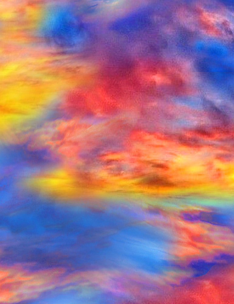Timeless Treasures: Sunflower - Sunset Sky - C1136