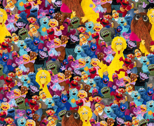 Quilting Treasures: Sesame Street - Sesame Street Characters - Sesame Workshop - 27916-X