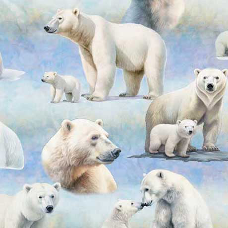 Quilting Treasures: Aurora - Polar Bear Vignettes - 30591-B