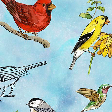 Quilting Treasures: Drawn to Birds - Tossed Birds - 31135-B
