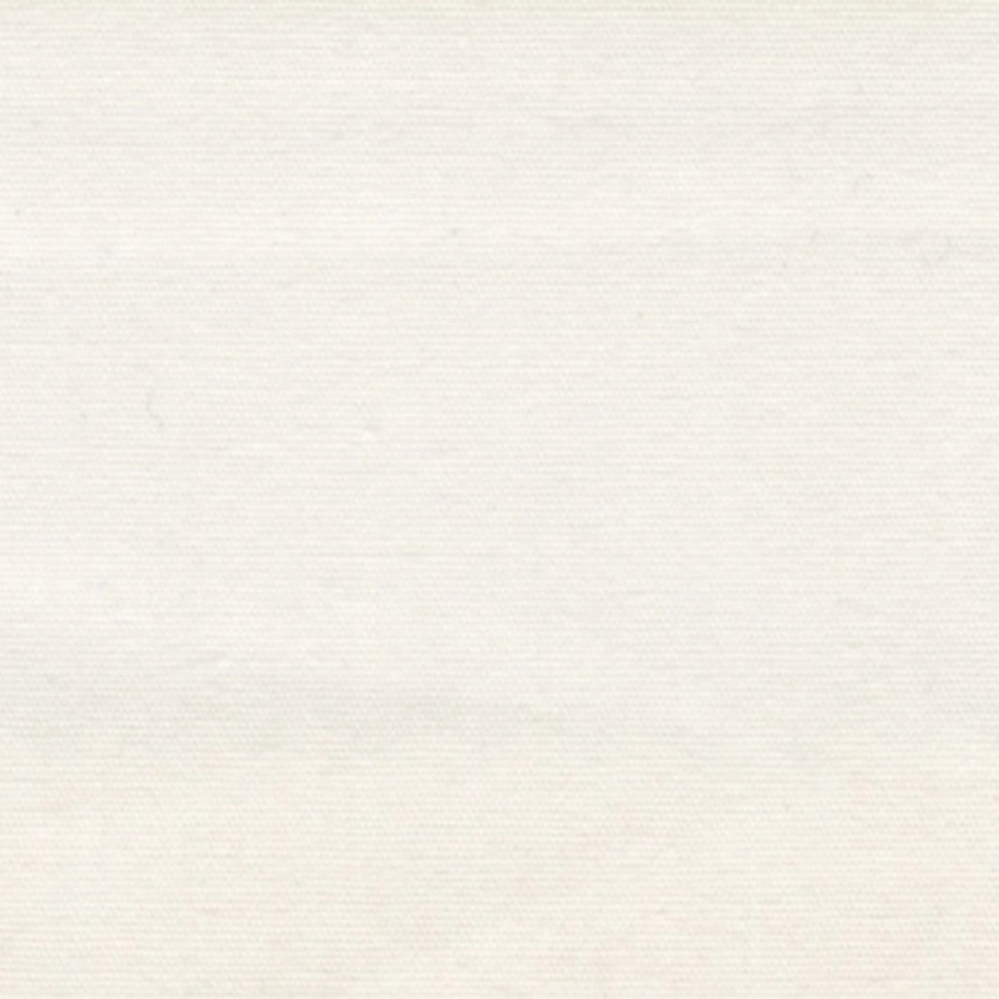 Roc-Lon: Muslin - Bleached - 45 Inches Wide - 404C