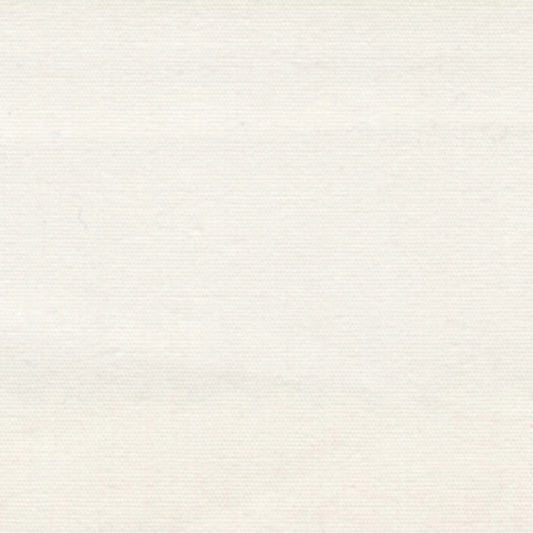 Roc-Lon: Muslin - Bleached - 45 Inches Wide - 404C