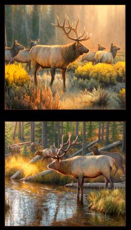 Elizabeth Studio: Morning Glory - Elk Panel - 9204E-Black