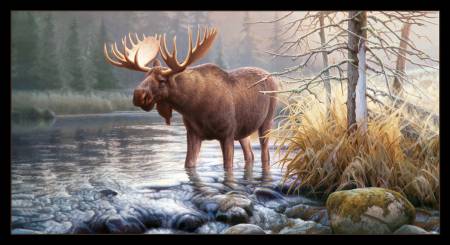 Elizabeth Studio: Morning Glory Moose Panel - 9205E-Black