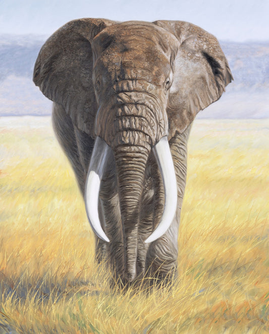 David Textiles: Power of Nature Elephant Panel - AL41321-C1
