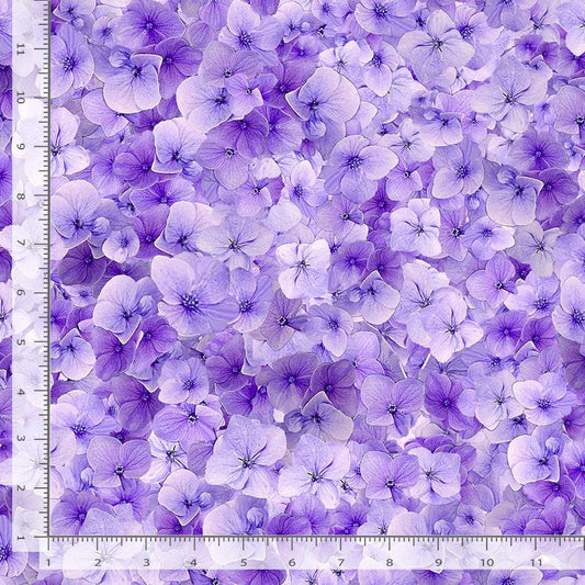 Timeless Treasures: Garden Delight - Viola Floral - CD3505