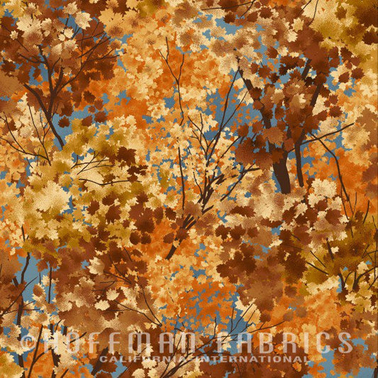 Hoffman: - Frosted Fall - Pond - N7540-452