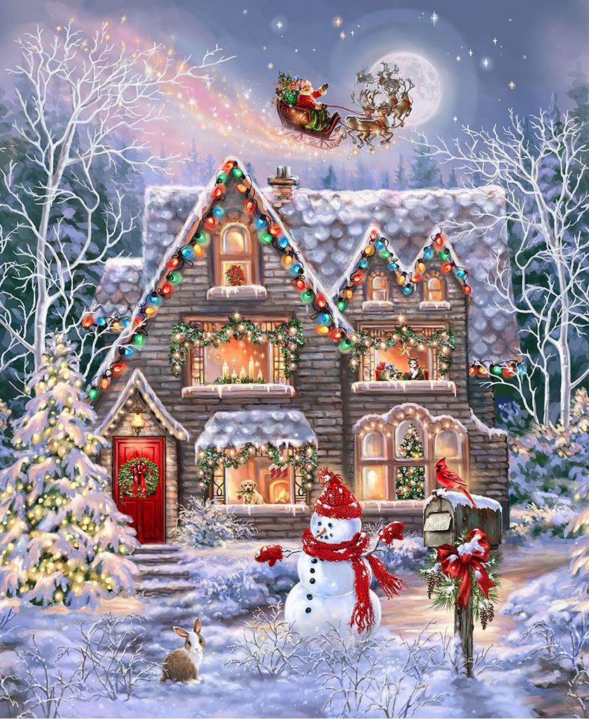 Timeless Treasures: Christmas Eve - Holiday House - CD3370 - Panel - Dona Gelsinger