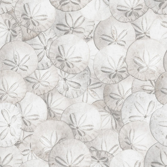Hoffman: Natures Narratives - Sand Dollar - R4665-501 - Coastal Calm