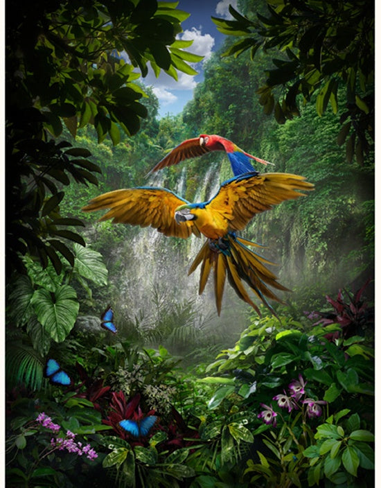 Hoffman: Call of the Wild - Amazon Birds - Panel - R4687-246
