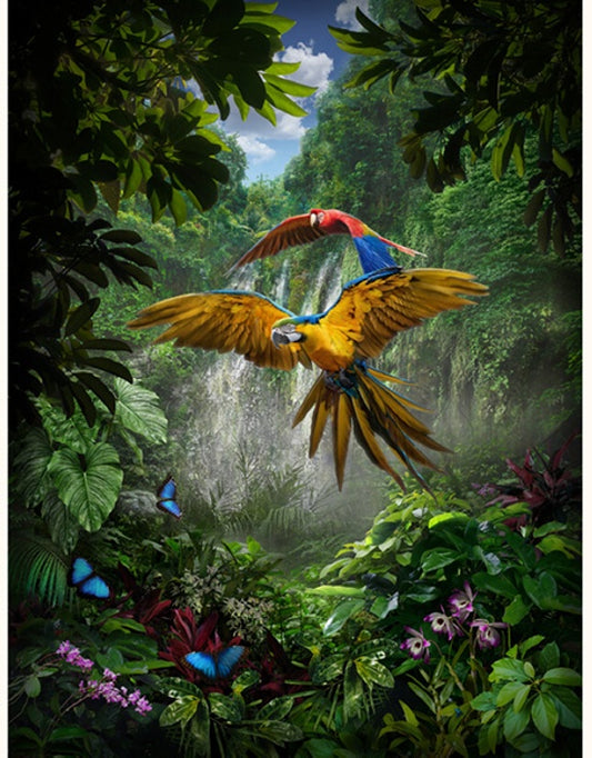 Hoffman: Call of the Wild - Amazon Birds - Panel - R4687-246