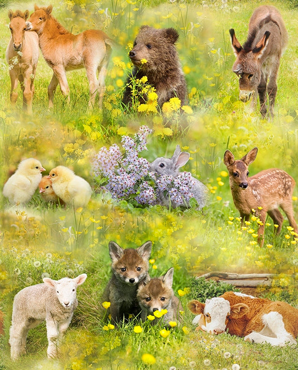 Hoffman: Sun Up to Sundown - Baby Animals - T4891-145