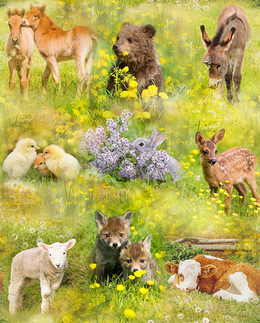 Hoffman: Sun Up to Sundown - Baby Animals - T4891-145