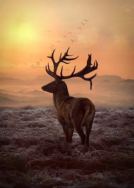 Hoffman: Call of the Wild - Stag at Sunset - T4957-151 - Panel