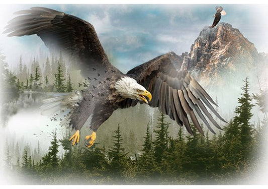Hoffman: Call of the Wild - Eagle - T4959-16 - Panel