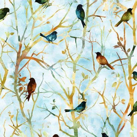 Hoffman:  Mystic Mountain - Birds - U5013-16