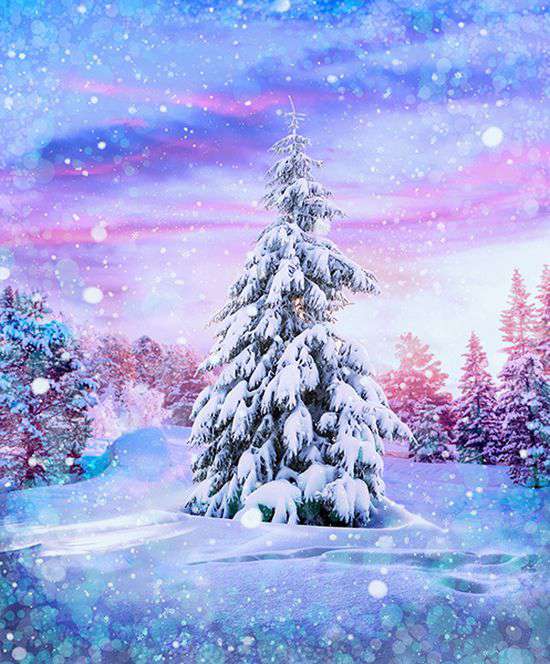 Hoffman: Winter Bliss - Sugarplum - U5032-286 - Panel