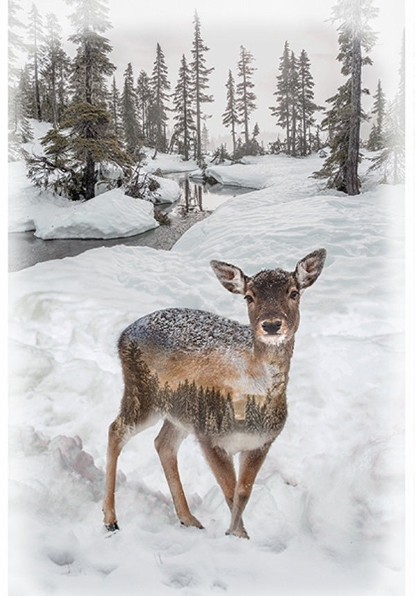Hoffman: Call of the Wild - Fawn - Panel - V5211-345