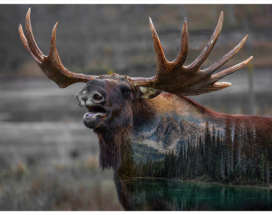 Hoffman: Call of the Wild - Deep Earth - W5510-704 - Panel