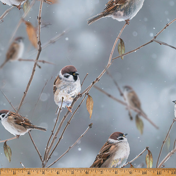 Hoffman: Call of the Wild - Sparrow - X5569-543 - Panel