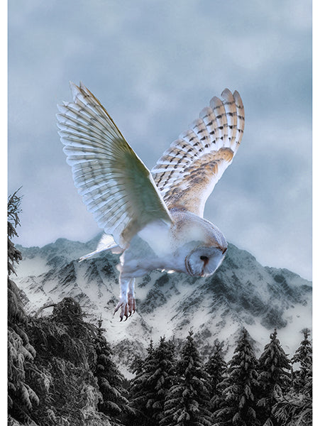 Hoffman: Call of the Wild - Powder - X5571-707 - Panel