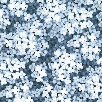 Hoffman:  A Floral Perspective - Ice Blue - N7553-190
