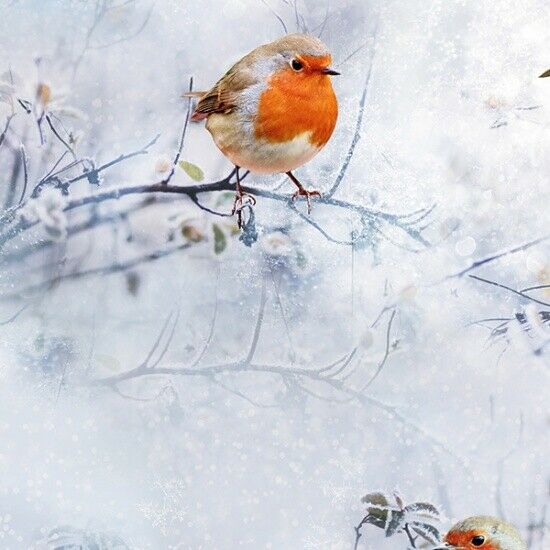 Hoffman: Call of the Wild - Red Robin with Snow - R4561-176