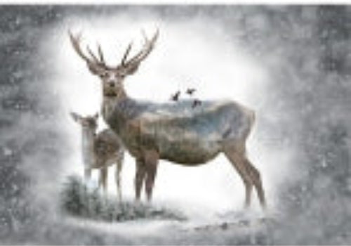 Hoffman: Dawn - Deer - Panel - S4723-112