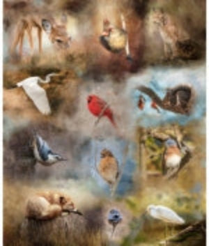 Hoffman: Dawn - Nestled in Nature - Animal Planet - Panel - S4734-466
