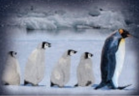 Hoffman:  Arctic Blue - Penquins - Panel - S4740-621