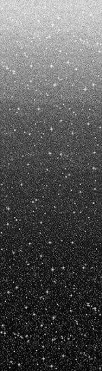 Hoffman: Glitz and Glam - Black - Ombre  - S4830-4